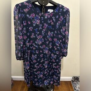 Calvin Klein Women dress